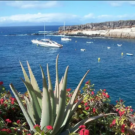 Compostela X Apartamento Playa de las Americas (Tenerife)